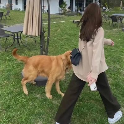 古宅粤语